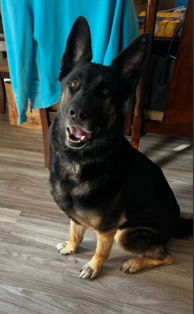 Vader